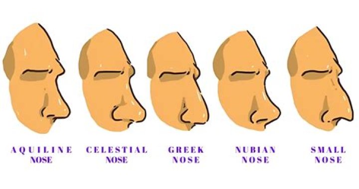 What does a broad nose mean