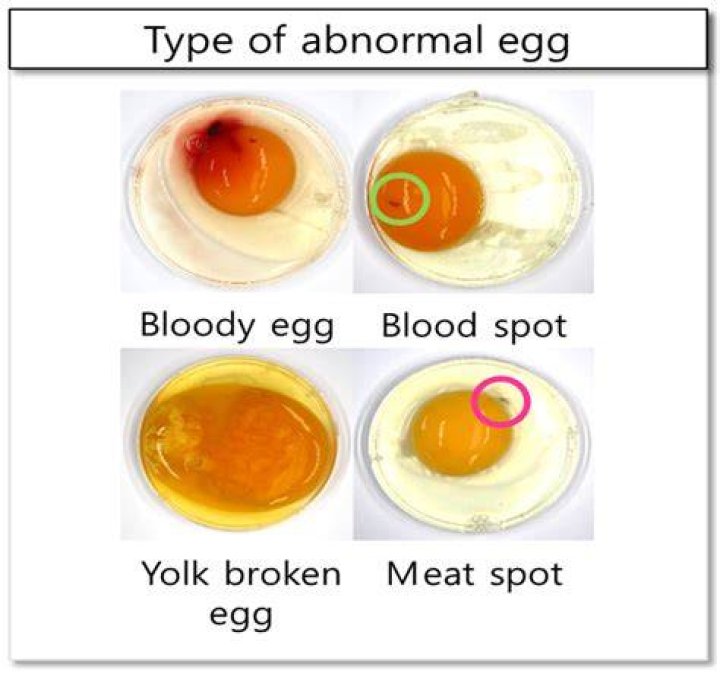 What does a broken yolk mean