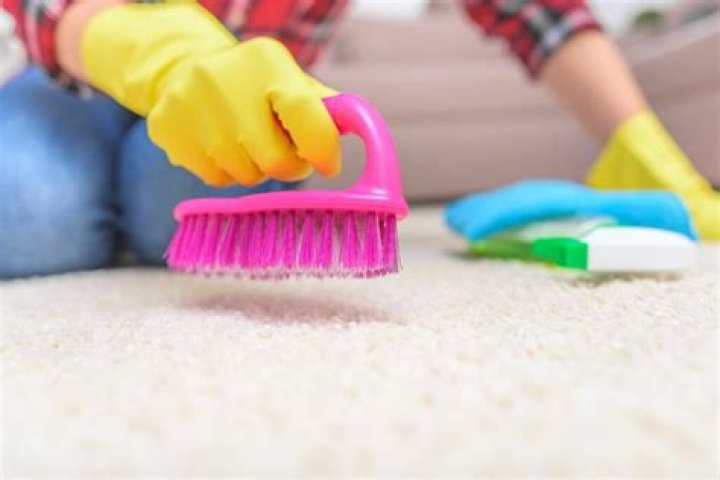What does a carpet brush do