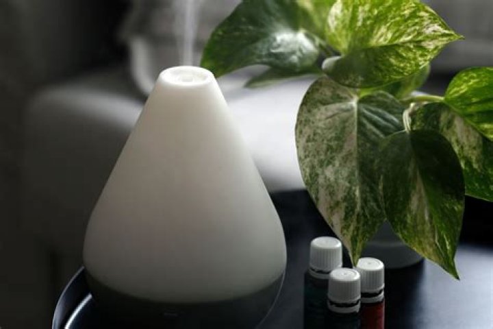 What does a heat diffuser do