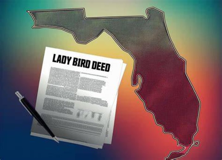 What does a ladybird deed do