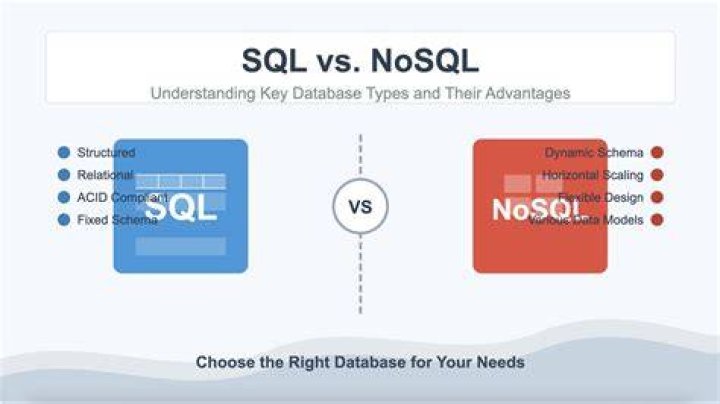 What does a SQL Profiler do