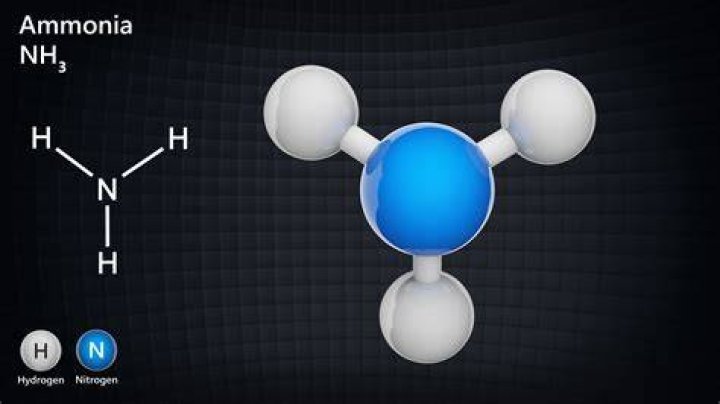 What does ammonia react with