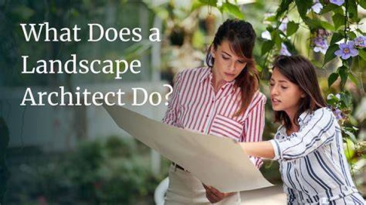 What does an architect do NZ
