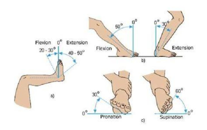 What does anti-flexion mean
