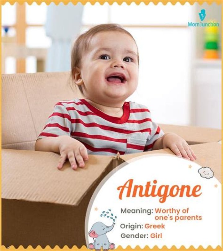 What does Antigone name mean