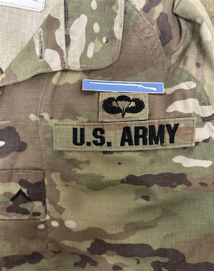 What does Army OIP stand for