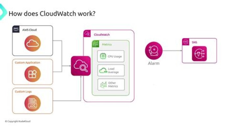 What does AWS CloudWatch do