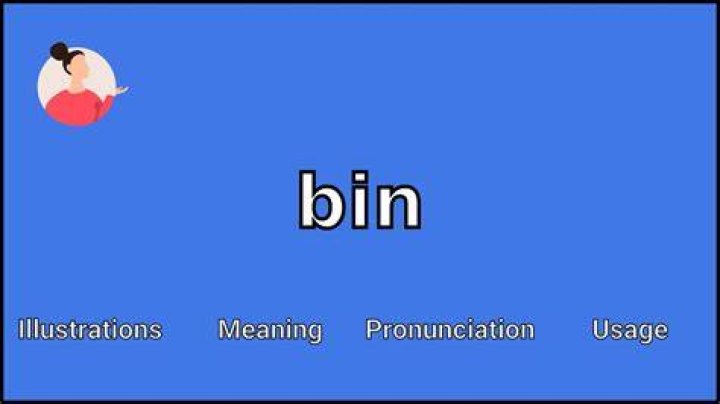 What does bin mean in slang