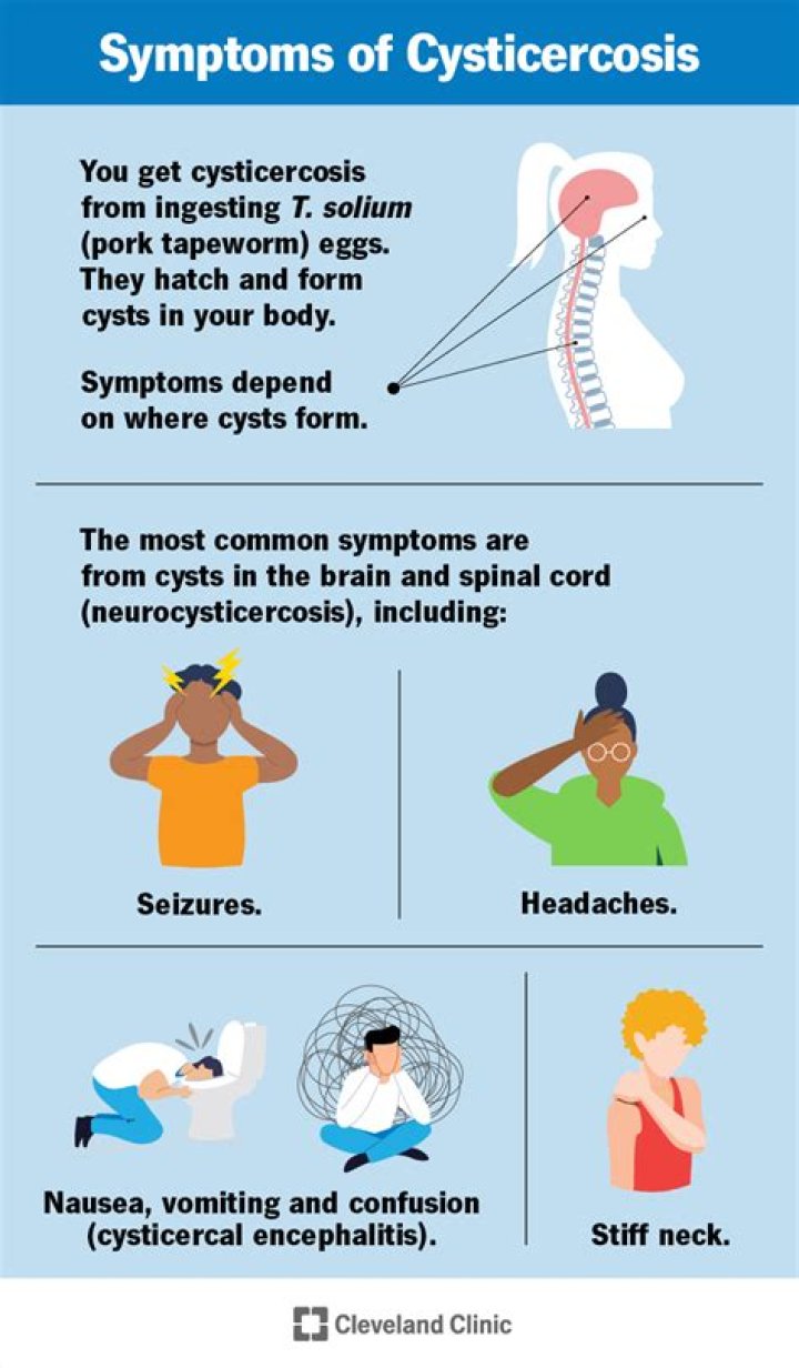 What does cysticercosis mean