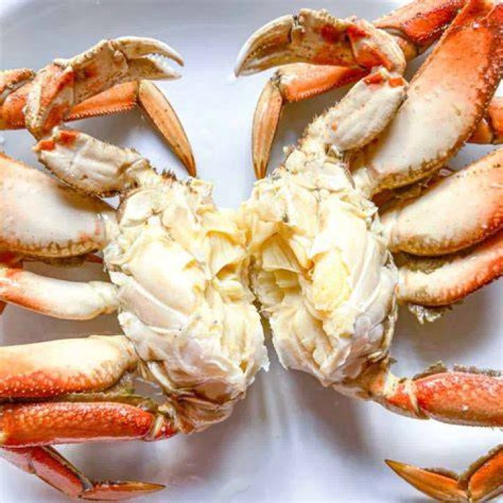 What does Dungeness crab eat