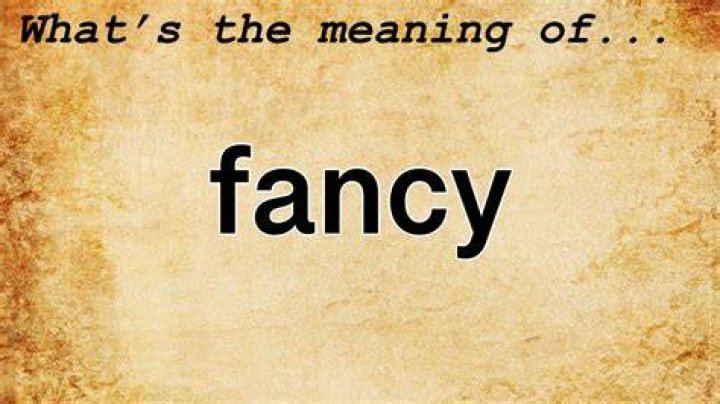 What does fancy mean British