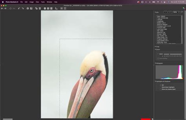 What does framing error mean