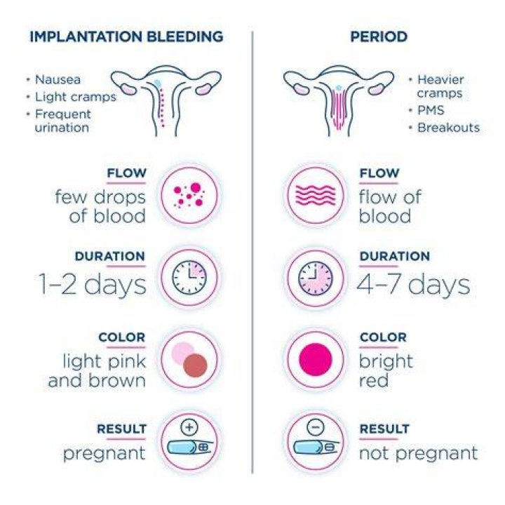 What does free bleeding mean