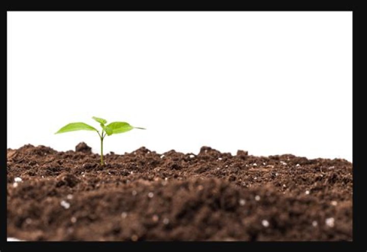 What does gypsum do for soil