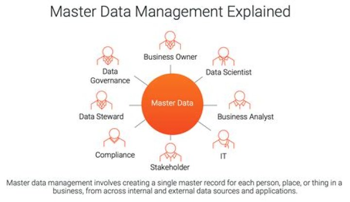 What does Master policy mean