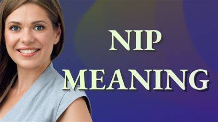 What does nip mean in drinks