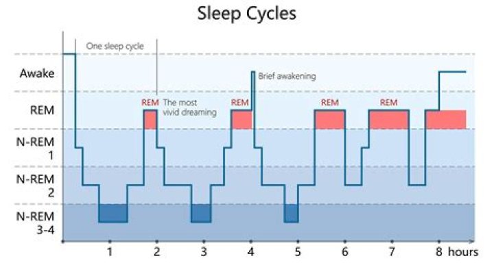 What does non REM sleep mean