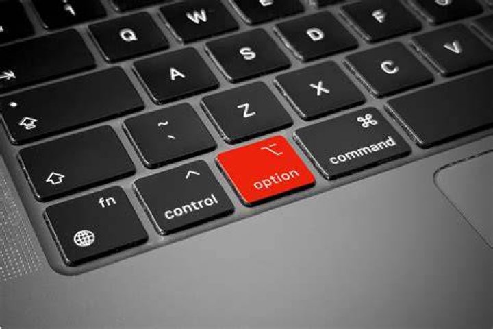 What does option do in Linux