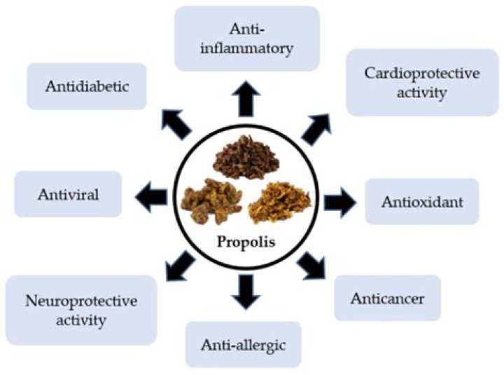 What does propolis help with