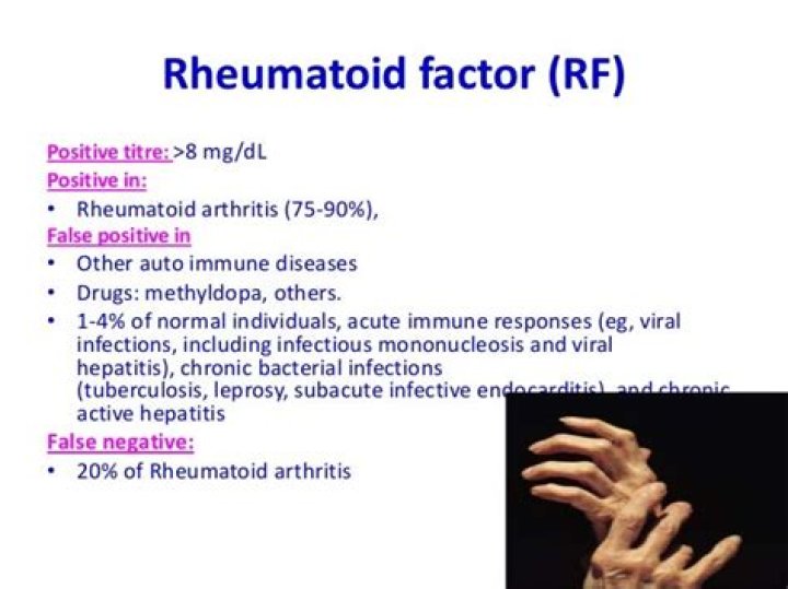 What does rheumatoid factor mean