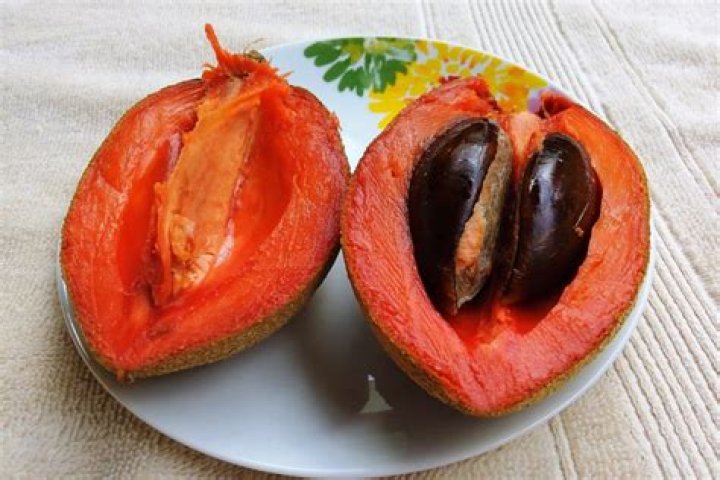 What does sapote taste like