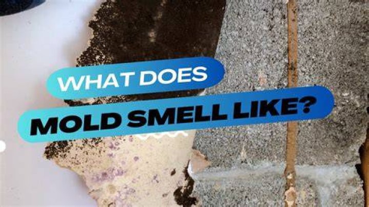 What does smelling mold mean