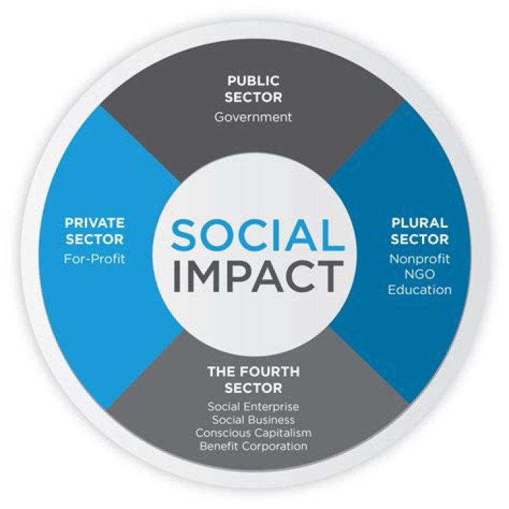 What does social impact mean