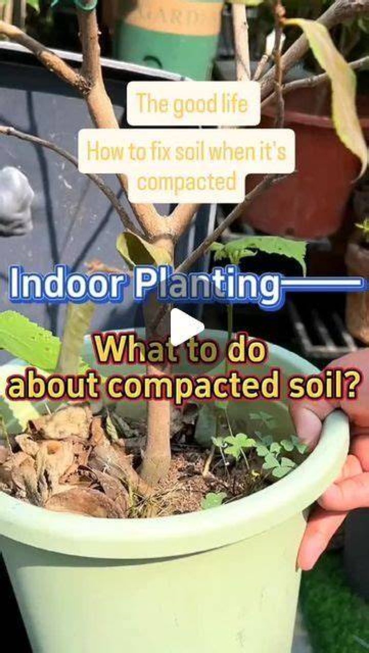 What does soil do for plants