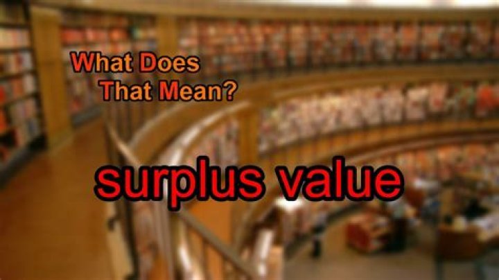 What does surplus value mean