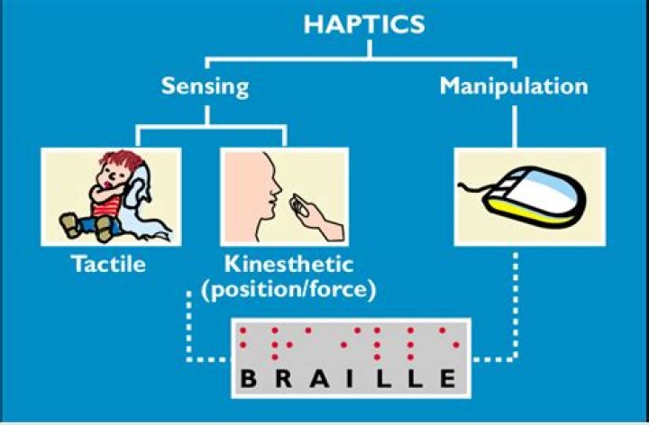 What does system haptic mean