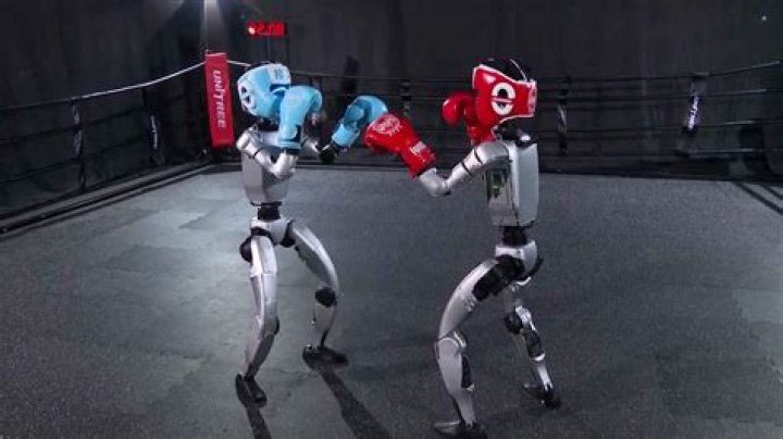 What does the boxer robot do