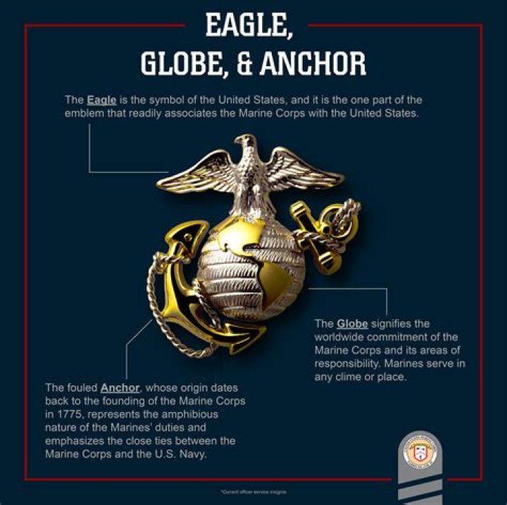 What does the EGA stand for
