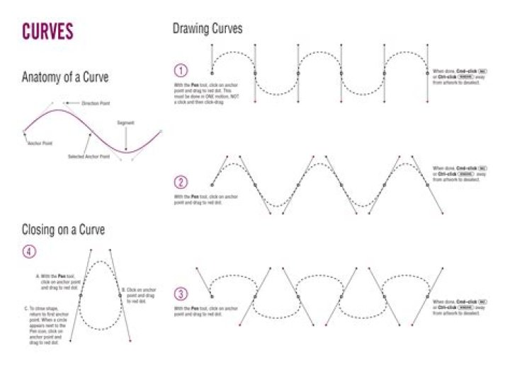 What does the IS curve show