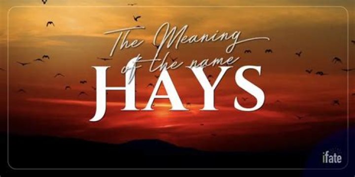 What does the name Hays mean