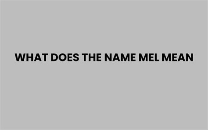 What does the name long mean