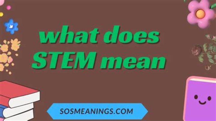 What does the stem Cide mean