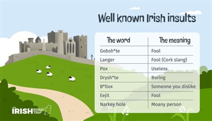 What does Troy mean in Irish