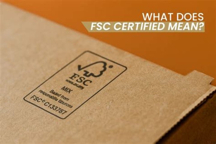 What does TSO certified mean