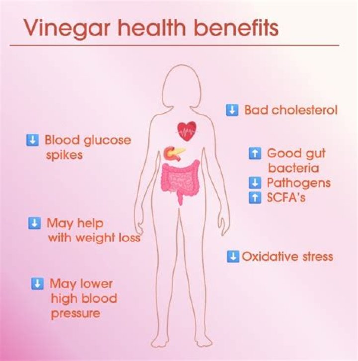 What does vinegar do to rust