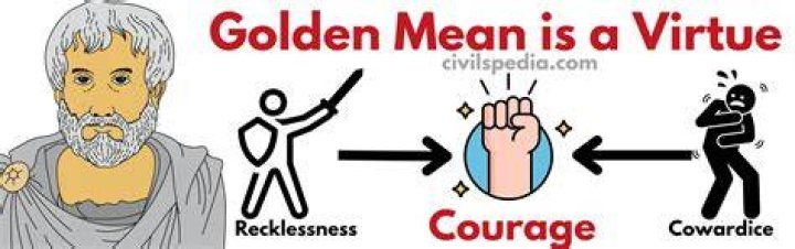 What does virtue theory mean