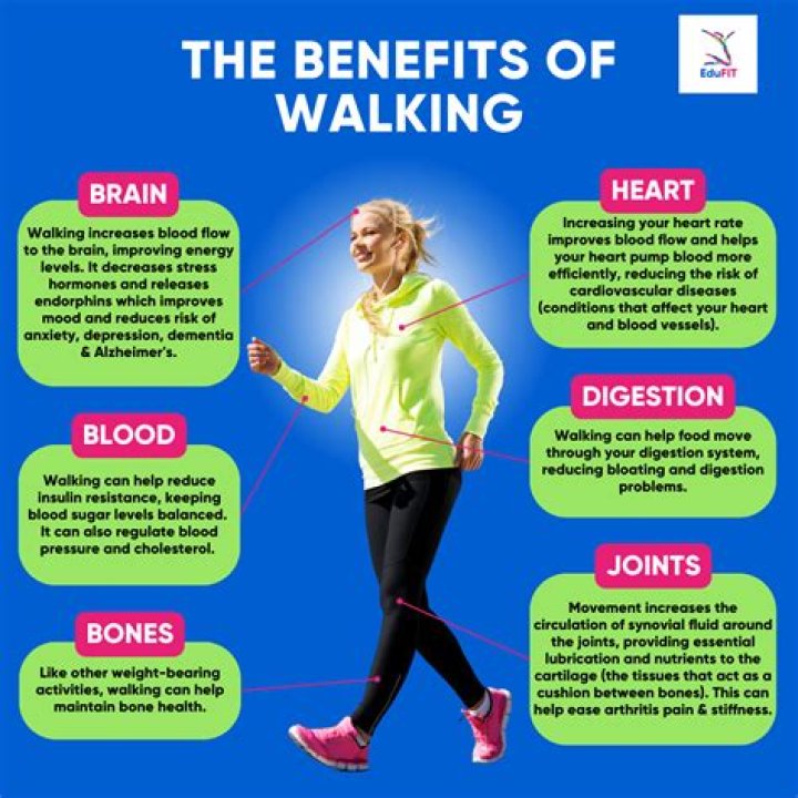What does walking life mean