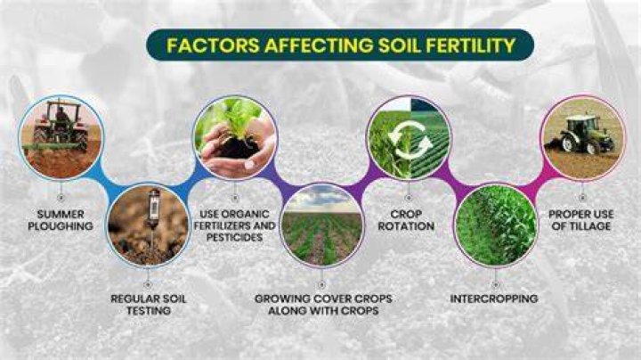 What effect does tillage have