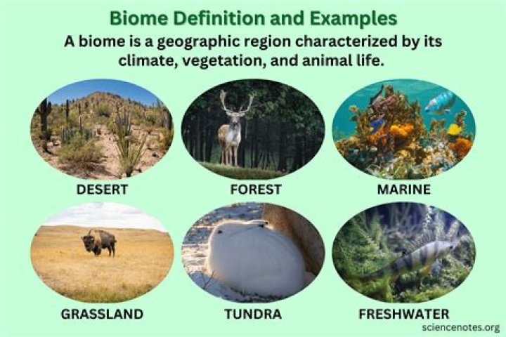 What elements define a biome