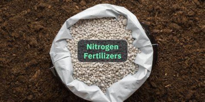 What fertilizer has nitrate