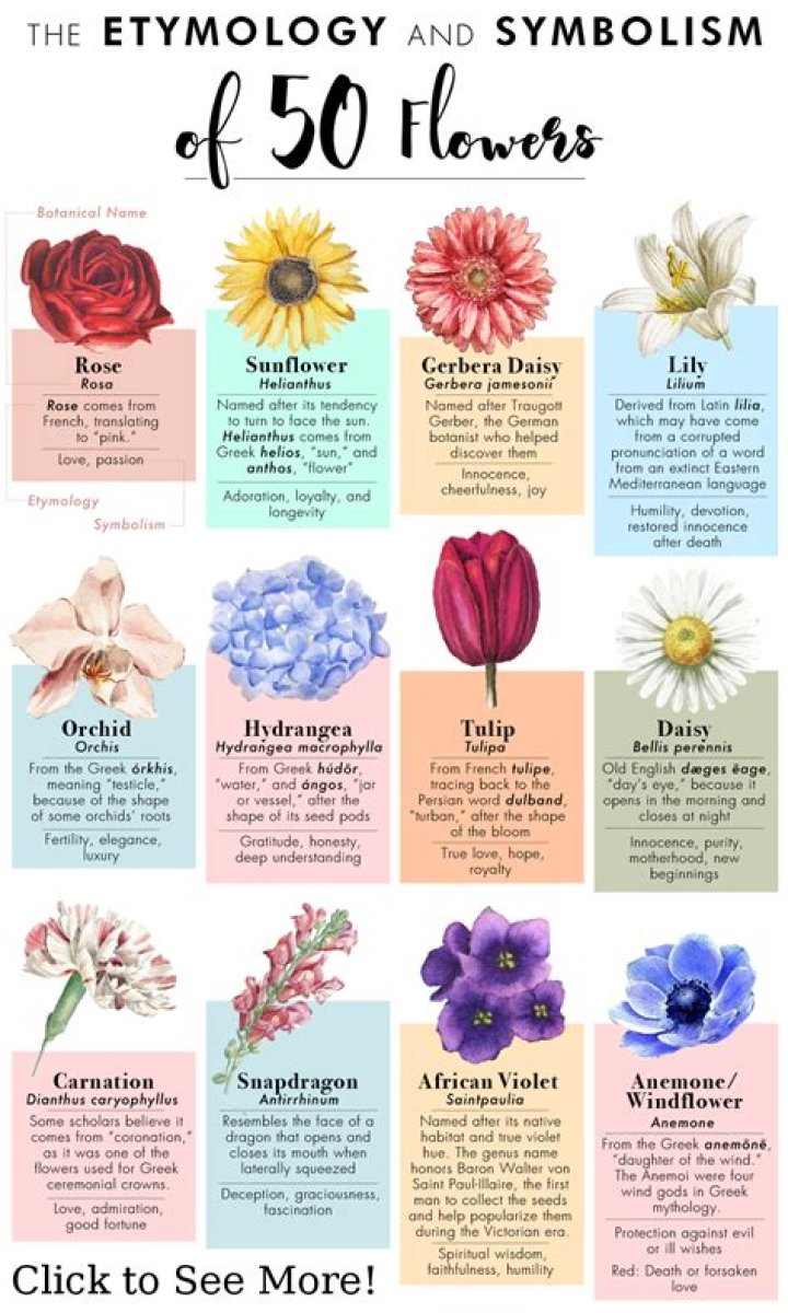 What flower symbolizes hope
