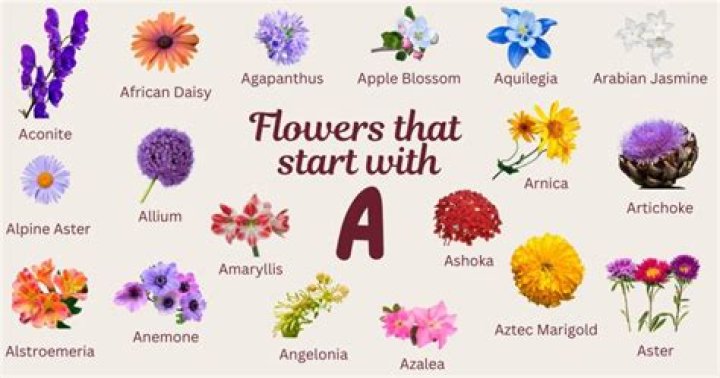 What flowers start with an A