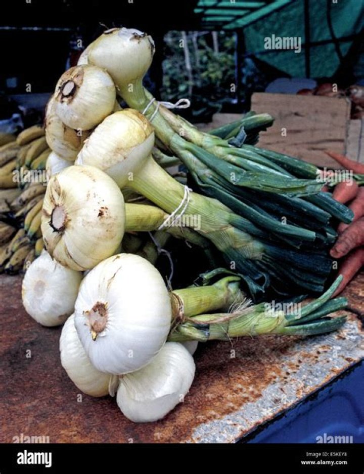 What happened Bermuda onions