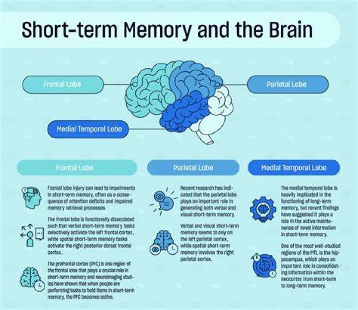 What helps short term memory