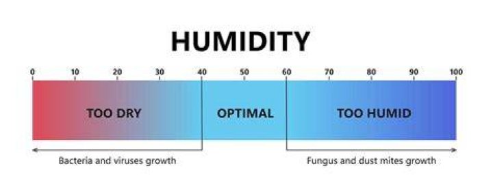 What humidity level is muggy